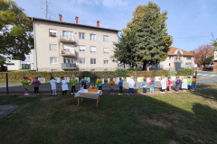 IMG_20261005_100724