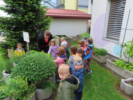 zdravje24-25-15